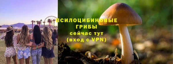 MDMA Premium VHQ Новозыбков