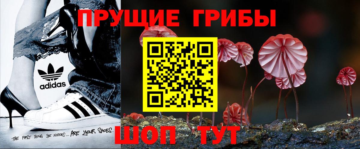 Азнакаево  Галлюциногенные грибы Cubensis  купить  цена  Вход с VPN  Псилоцибиновые грибы мицелий 